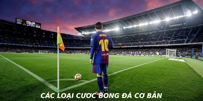 Các loại cược bóng đá cơ bản