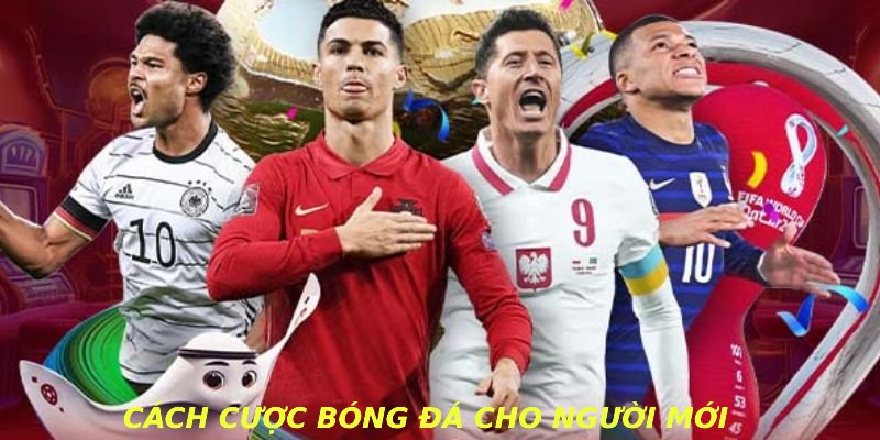 Cách cược bóng đá cho người mới