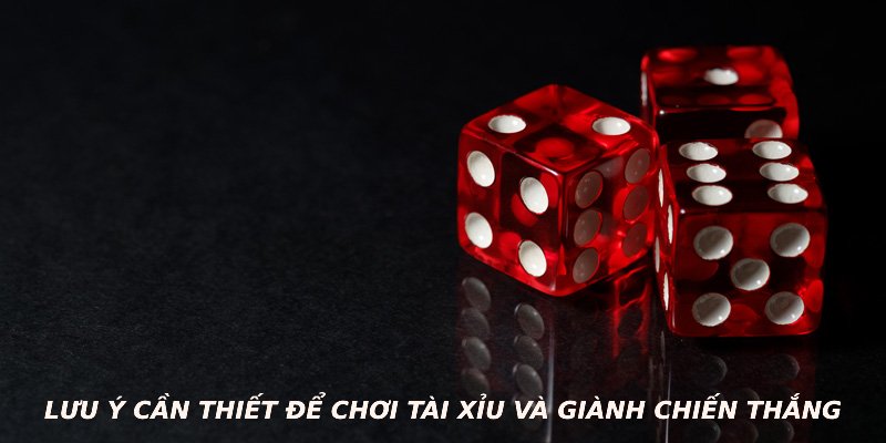 Lưu ý cần thiết để chơi tài xỉu và giành chiến thắng