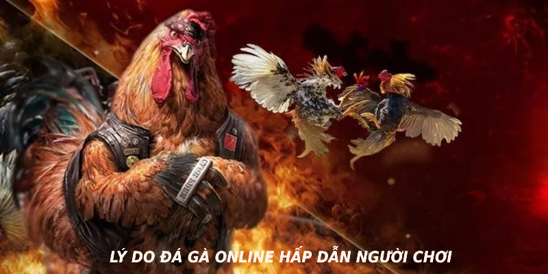 Lý do đá gà online hấp dẫn người chơi