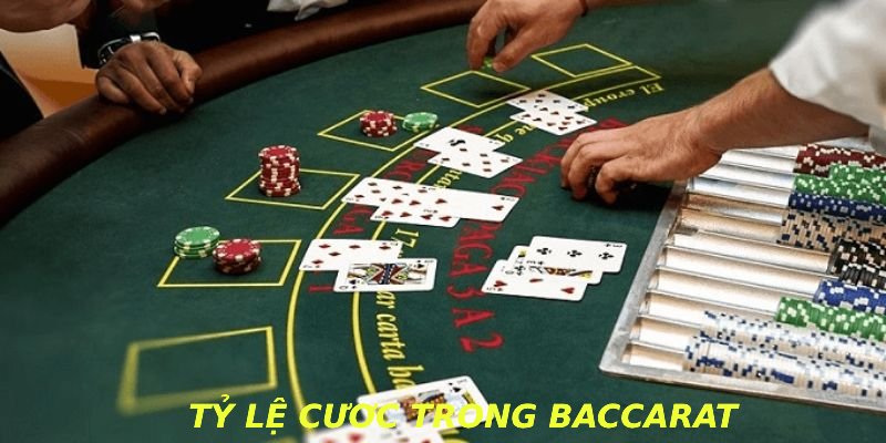 Tỷ lệ cược trong baccarat